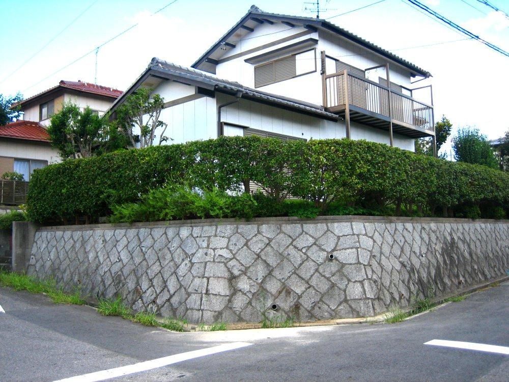 Local appearance photo. Local (August 2012) shooting