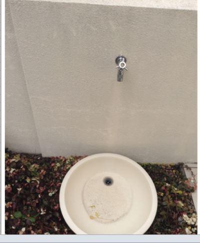 Garden. Local (12 May 2013) Shooting