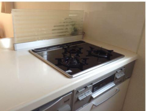 Kitchen. Indoor (12 May 2013) Shooting