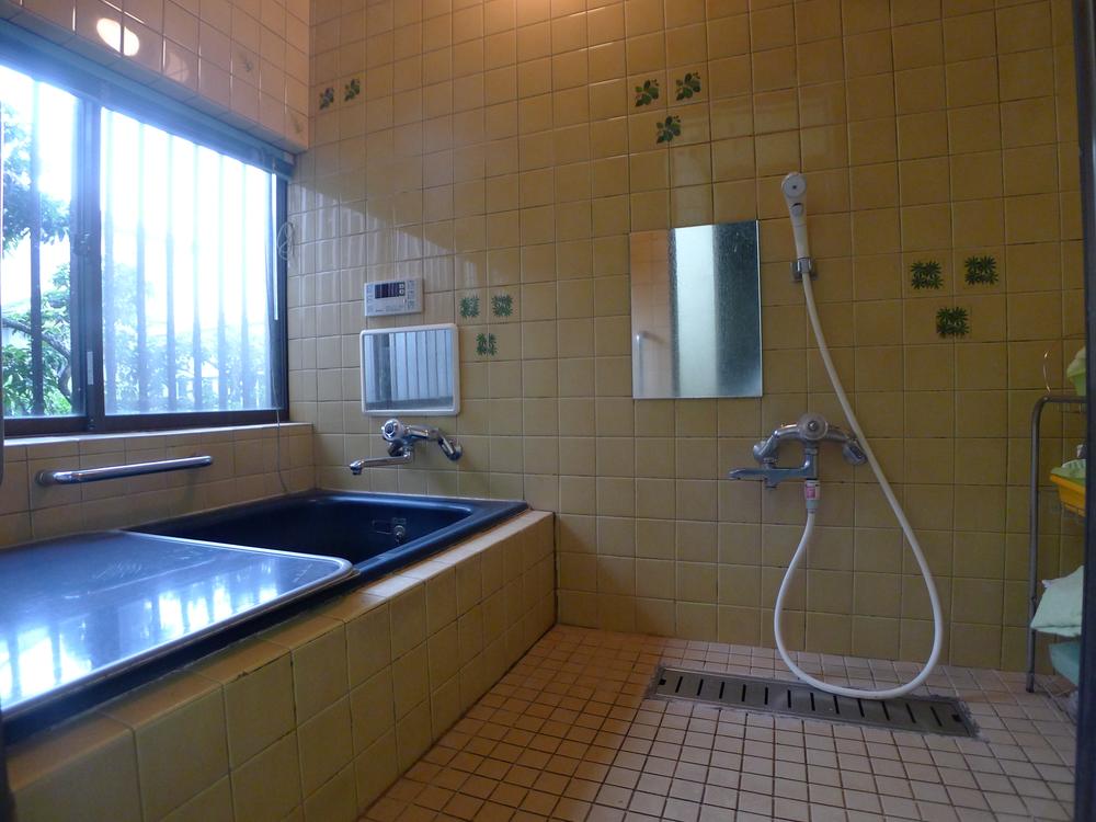 Bathroom. Indoor (July 2013) Shooting