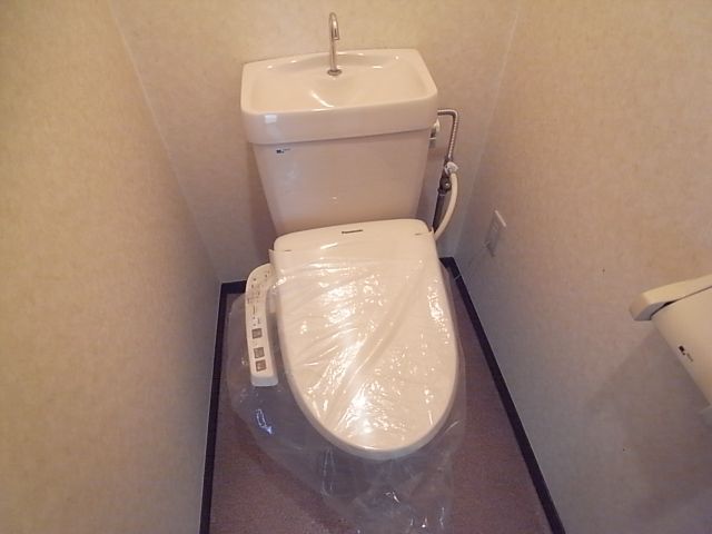Toilet. Washlet toilet