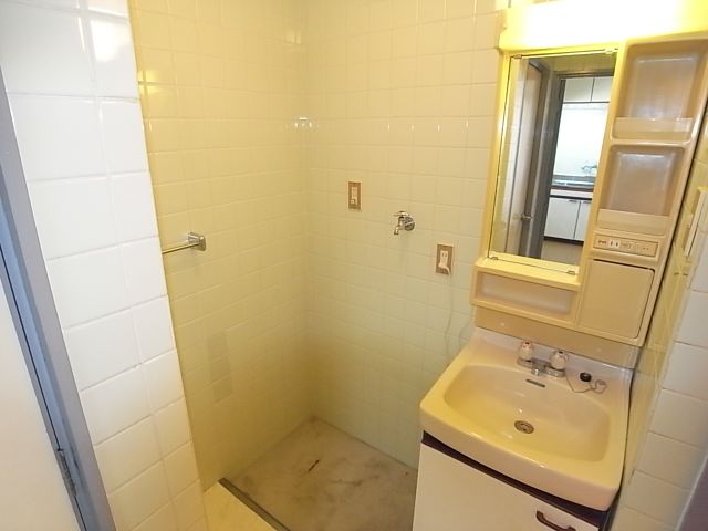 Washroom. Bathroom vanity