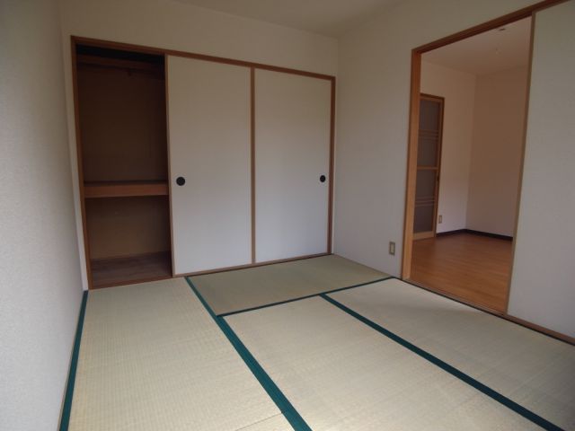 Living and room. Wide storage with Japanese-style room