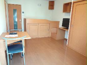 Living and room. room Model photo