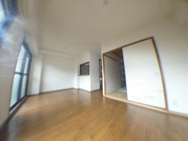 Living and room. Panorama