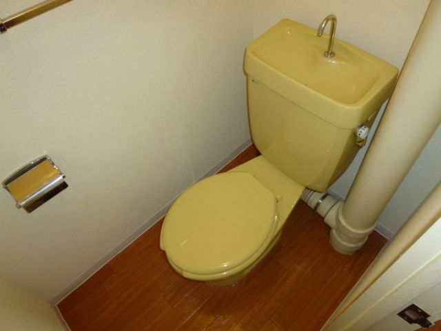 Toilet. Western-style toilet.