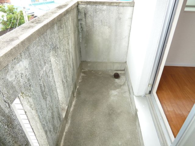 Balcony. It is a veranda.