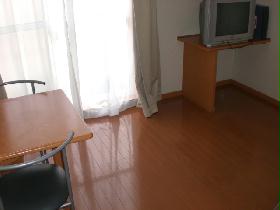 Living and room. Furniture appliances with properties