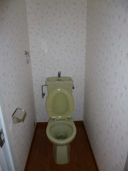 Toilet