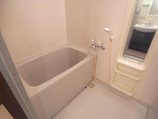 Bath. Beautiful bathroom