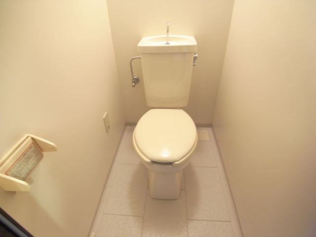 Toilet. Popularity of Western-style toilet