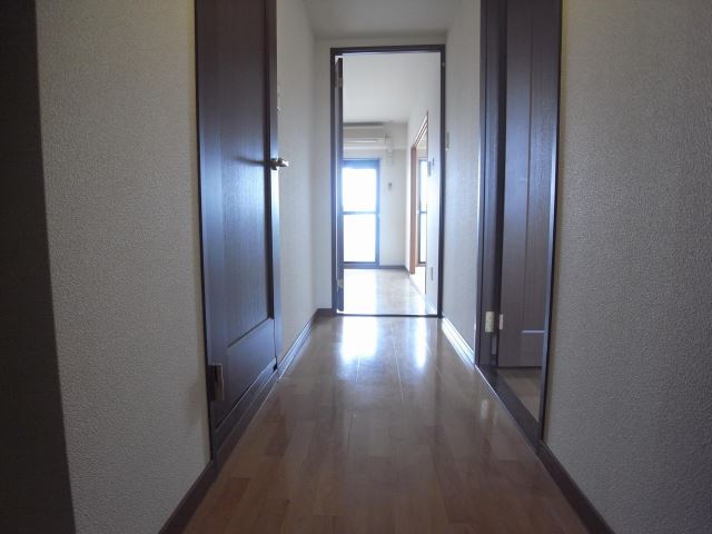 Living and room. Spacious hallway space