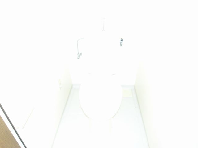 Toilet. Popularity of Western-style toilet