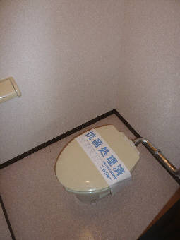Toilet