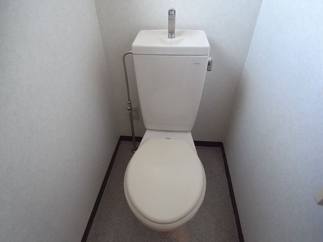 Toilet. Clean toilets