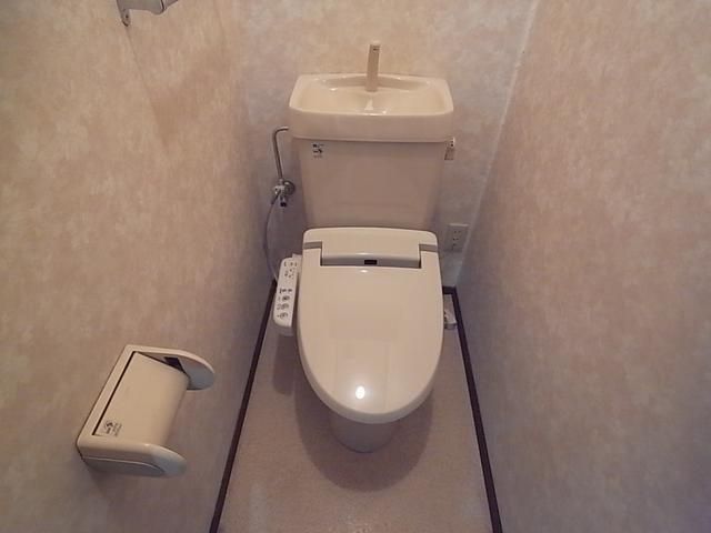 Toilet. Popularity of Western-style toilet