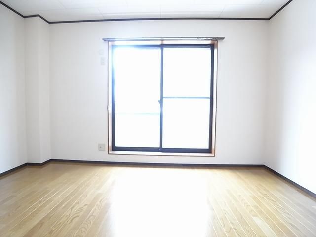 Living and room. Bright Interoceanic
