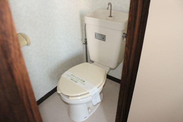 Toilet. Western-style toilet