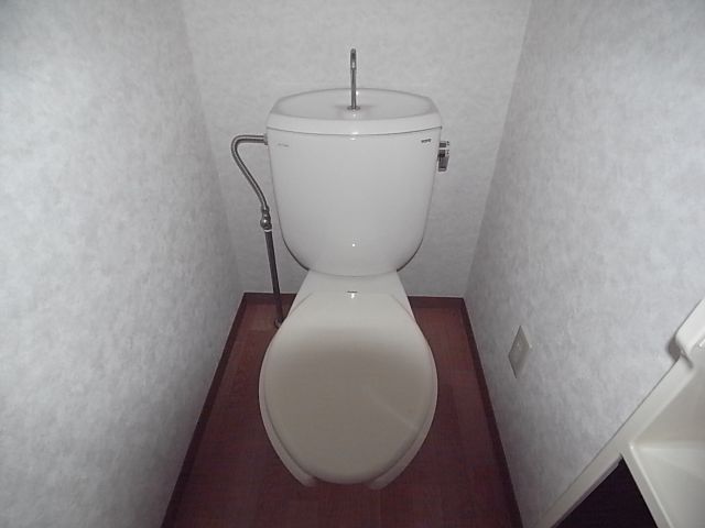 Toilet. Clean toilets