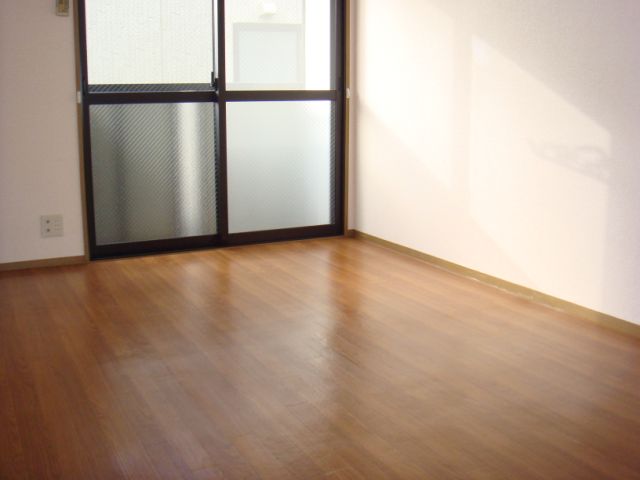 Living and room. Sunny