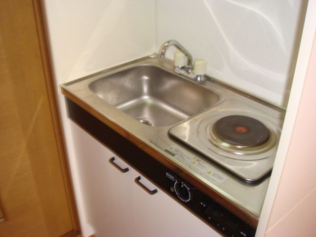 Kitchen. Kitchen with electric stove