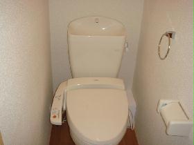 Toilet. Toilet
