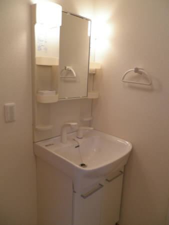 Washroom. Bathroom Vanity