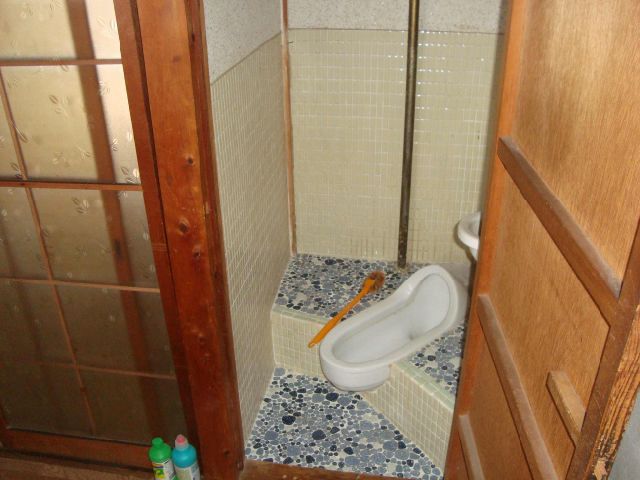 Toilet. Japanese style toilet. 