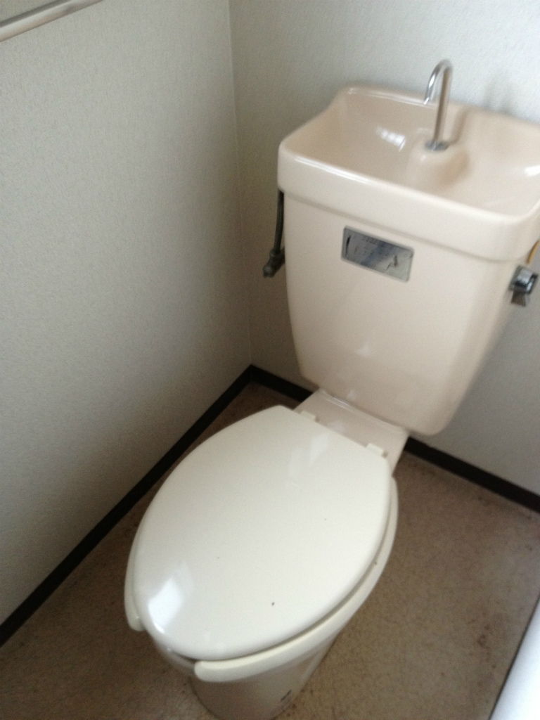 Toilet. Toilet