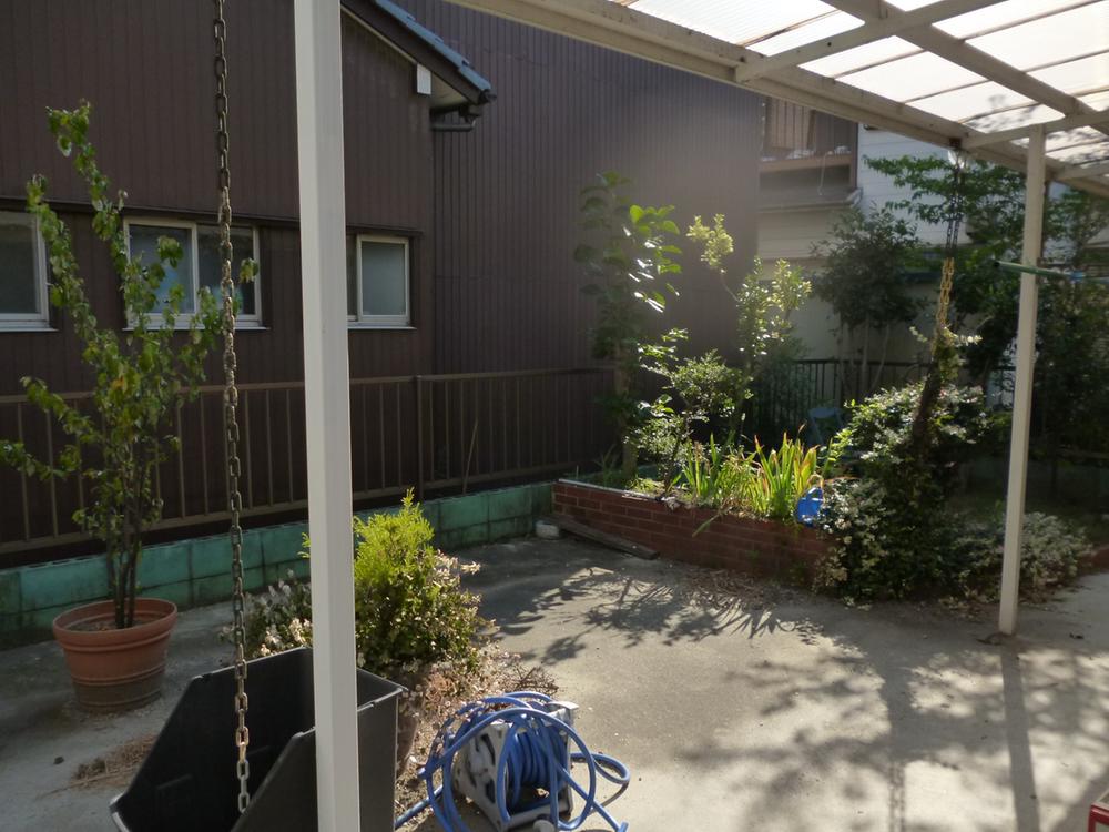 Garden. Local shooting