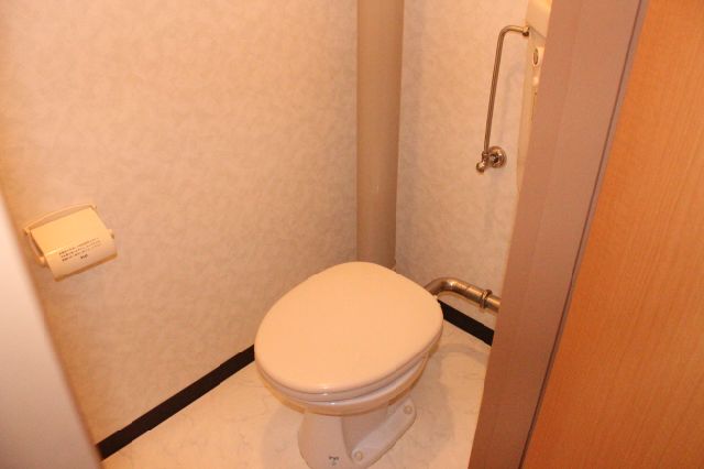 Toilet. Western-style toilet