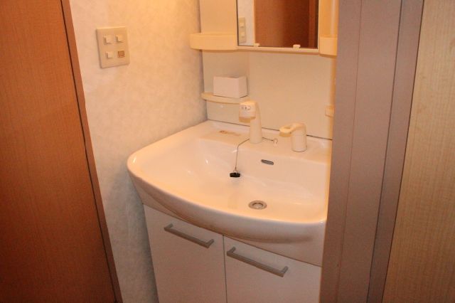 Washroom. Bathroom vanity