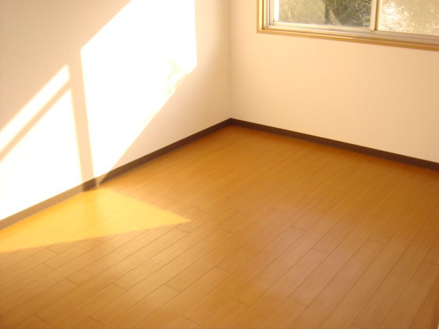 Living and room. Sunny Western-style