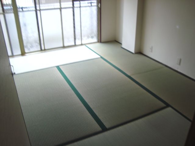 Living and room. Bright room on the south-facing