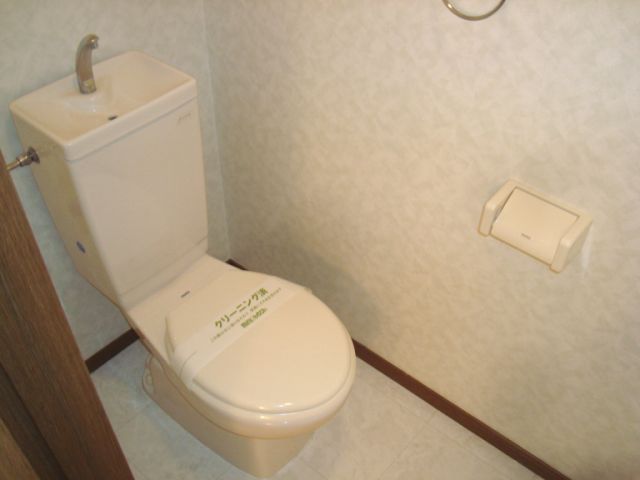 Toilet. Western-style toilet