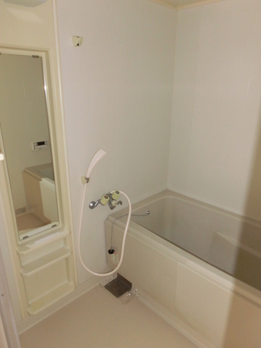 Bath. Bathroom