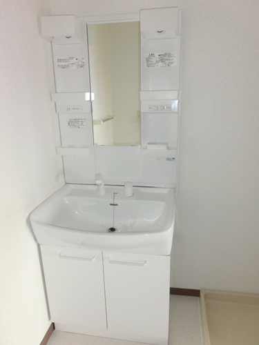 Washroom. Vanity with a shower head