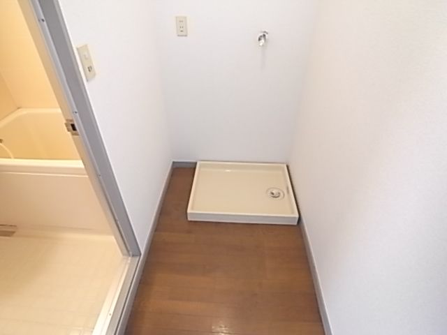 Other room space. There is indoor washing machine Storage