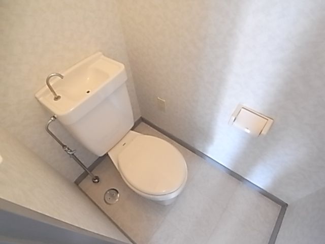 Toilet. Clean toilets