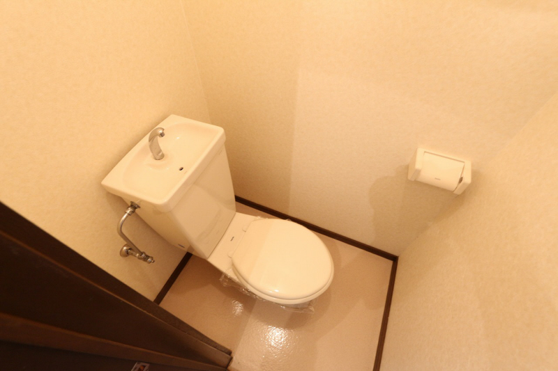 Toilet. Inverted image