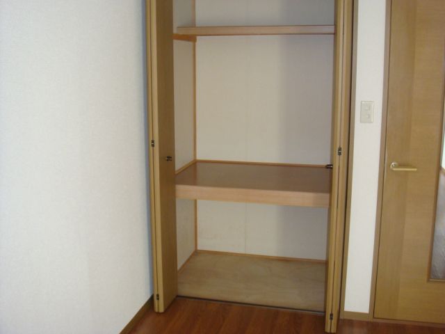 Receipt. Storage abundance of closet