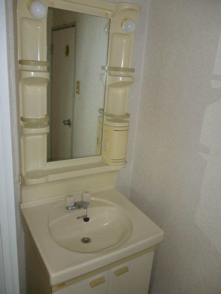Washroom. Bathroom vanity