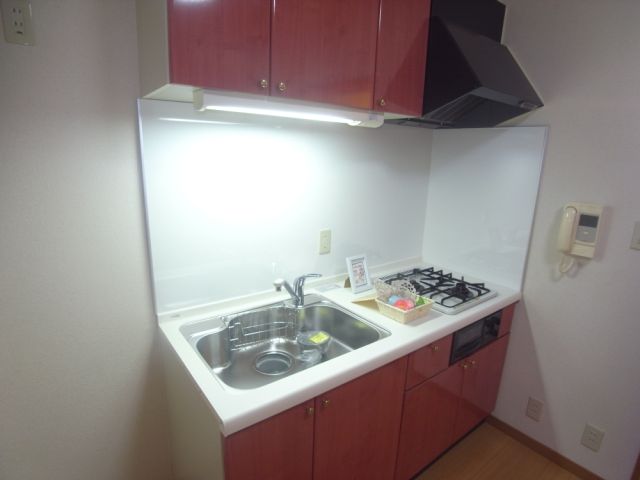 Kitchen. Spacious hallway
