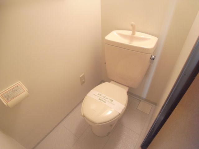 Toilet. Large closet