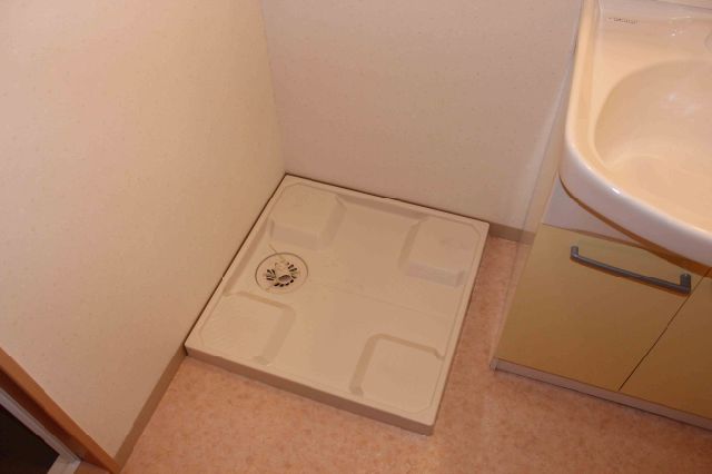 Other room space. Is Indoor Laundry Area