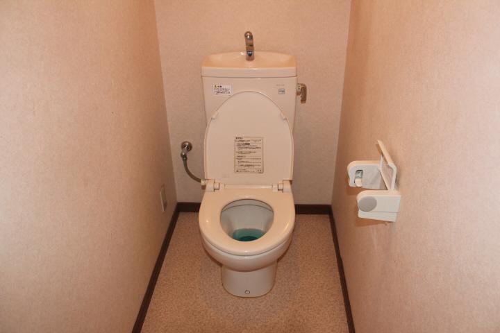 Toilet. Isomorphic type
