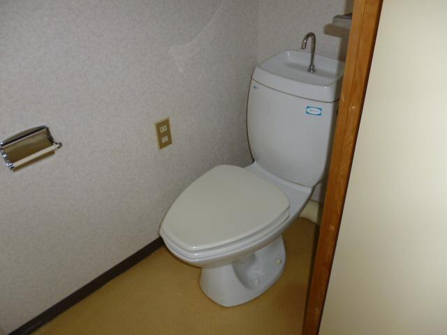 Toilet. Isomorphic type