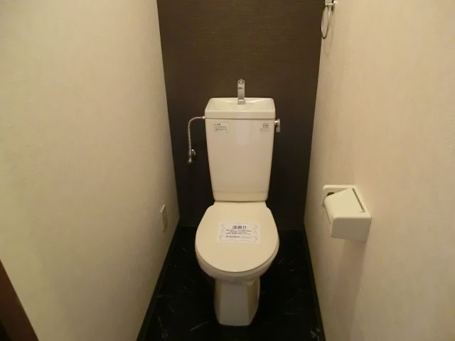 Toilet. Toilet of chic