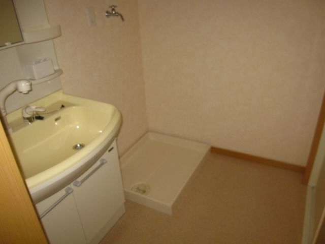Washroom. Washing machine storage there with waterproof bread