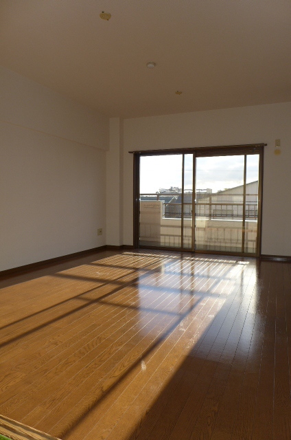 Living and room. Living